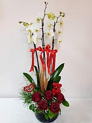 Ankara Balgat Orkide Sipari�i