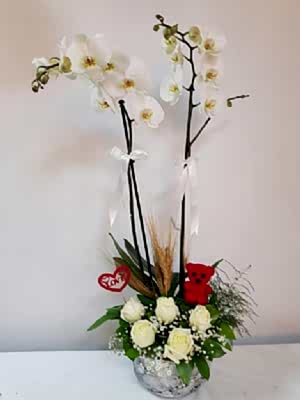 Beyaz Orkide G�l Aranjman