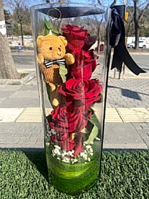 Cam  Vazoda  G�ller