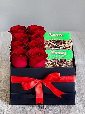 �ikolata  G�l  Aski