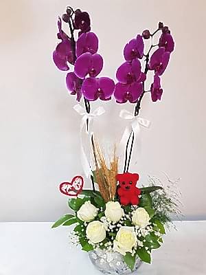 Fusya Orkide Beyaz G�l