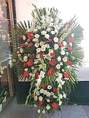 Kirmizi Beyaz Feforje Aranjman