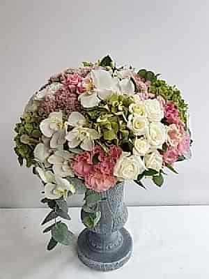 Orkide G�l �i�ek Aranjmani