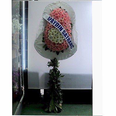 Pembe Beyaz A�ilis D�g�n �elenk �i�egi