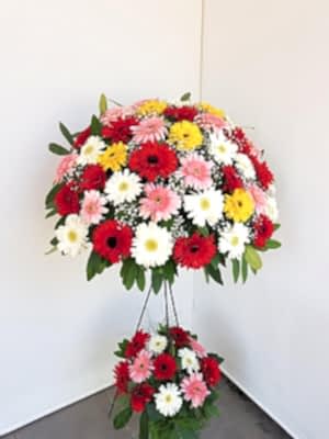 Renkli Gerbera  Feforje 