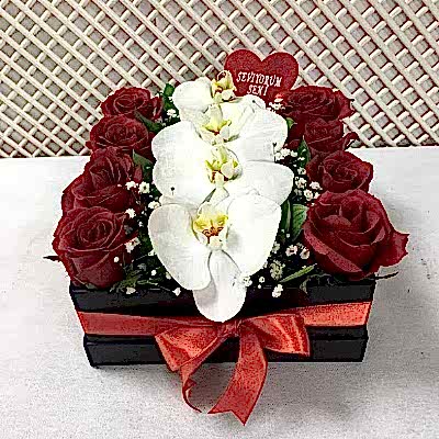 Seni Seviyorum Birtanem